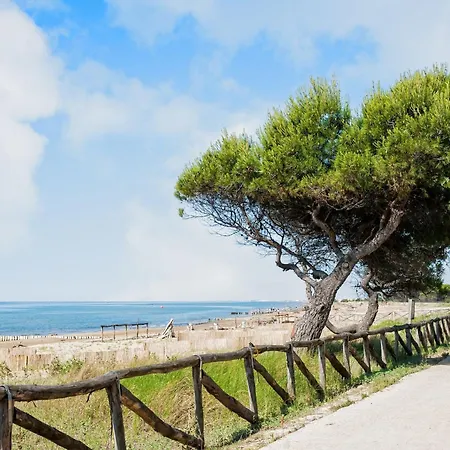 شقة Great Flat With Two Terraces And Parking بيبيوني
